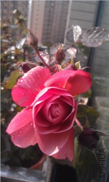 QQ��ͼ20140103165431.jpg