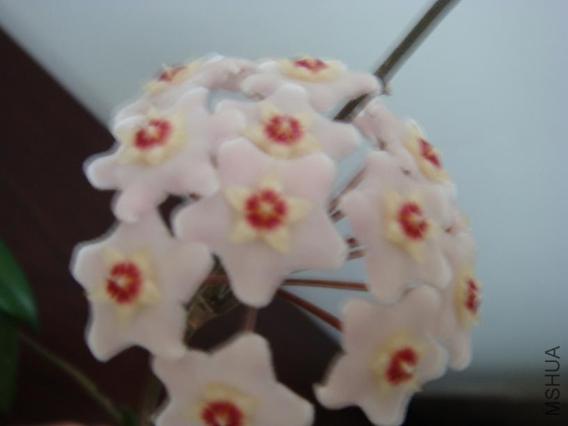 DSC01112.JPG