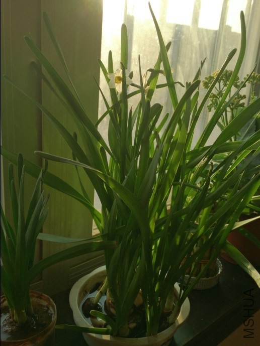 QQ��ͼ20140106123432.jpg