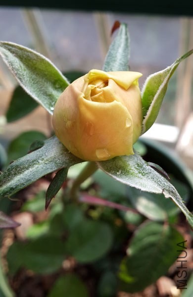 20131214_112509.jpg