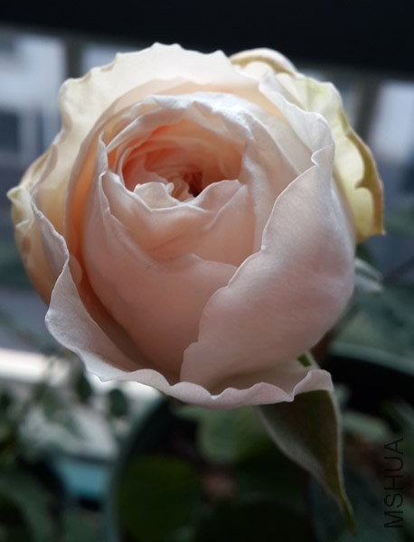 20131230_074948.jpg