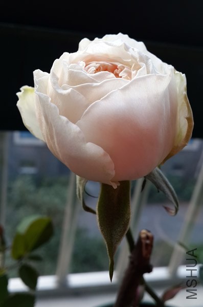 20131231_074434.jpg