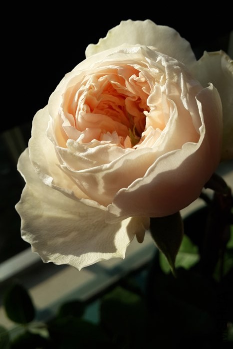 20140101_092849.jpg