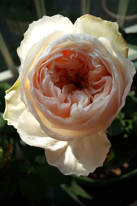 20140101_092722.jpg