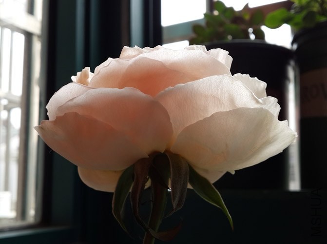 20140104_120728.jpg