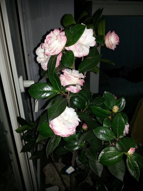20140105_162716.jpg