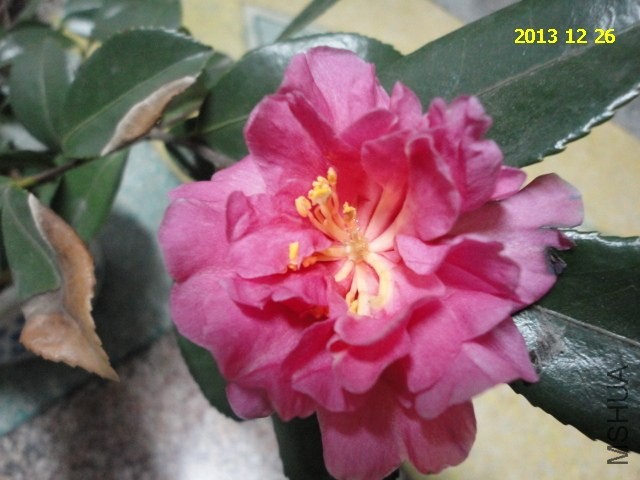 DSC04301.JPG