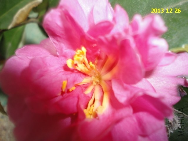 DSC04303.JPG