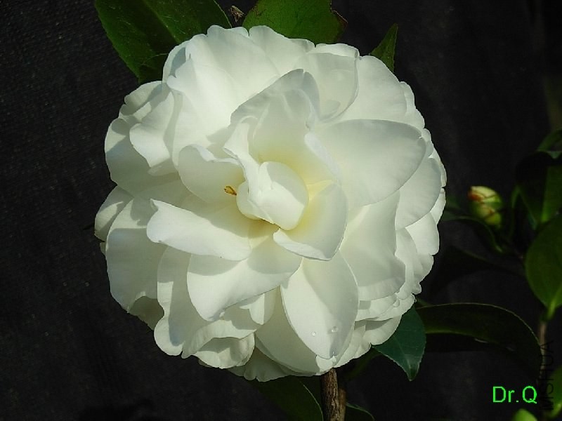 3-���Z��-6.JPG
