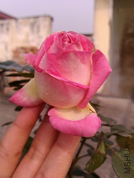 QQͼƬ20140108142140.jpg