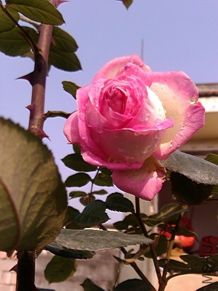 QQͼƬ20140108142448.jpg