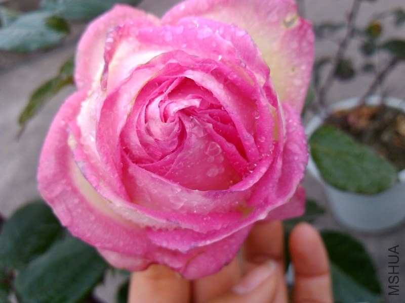 QQͼƬ20140108142628.jpg