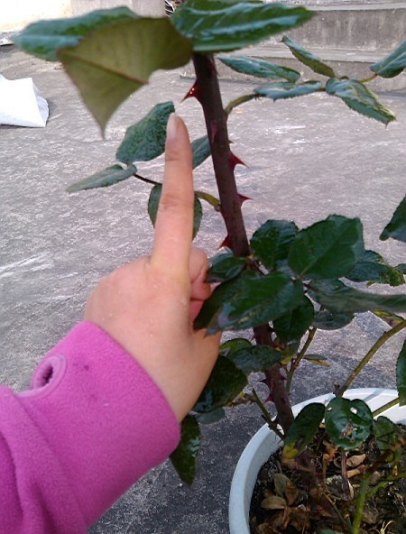 QQͼƬ20140108142531.jpg