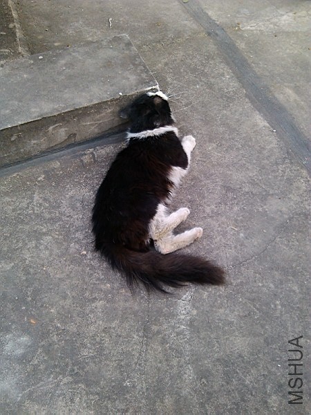 QQͼƬ20140108144248.jpg