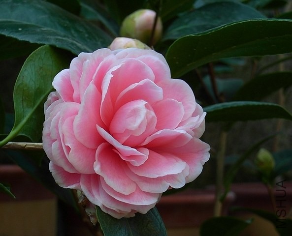 R0011542-.jpg