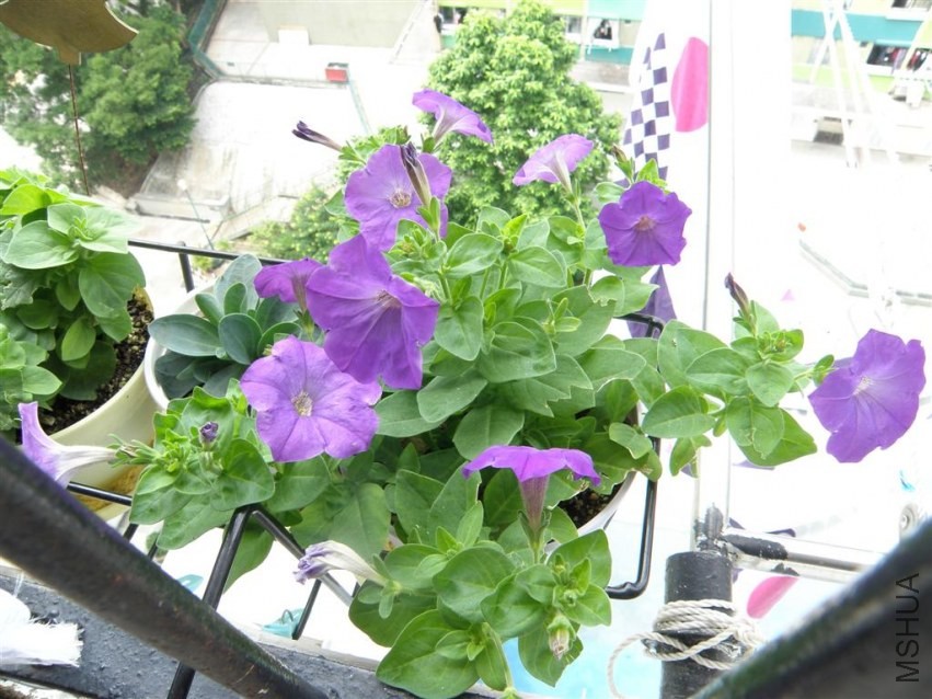 P9282436.JPG