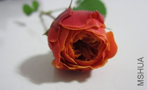 @5D3F575(14]RPDNR9IO42I.jpg