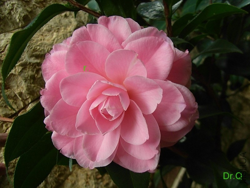 1.С����-1.JPG