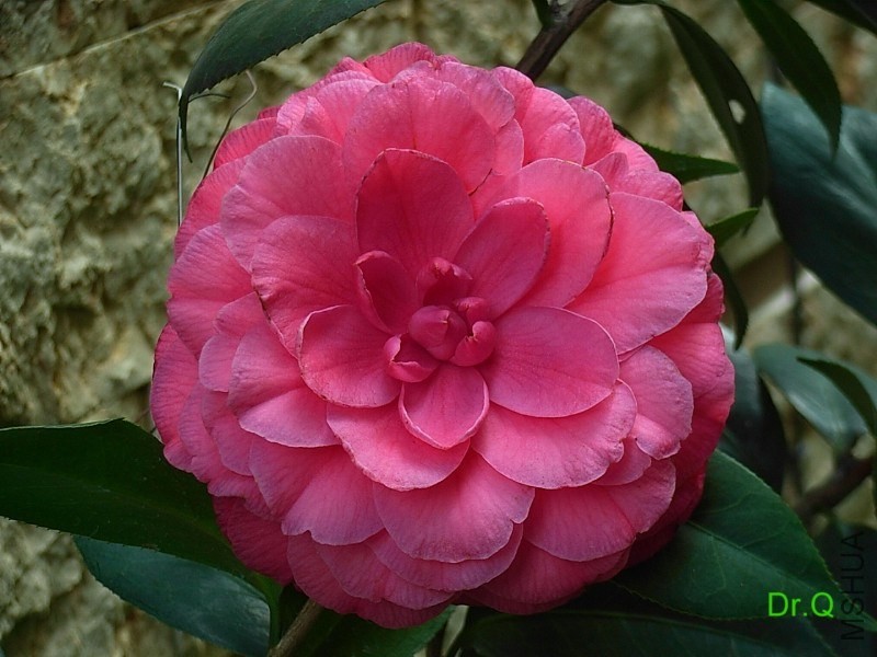 3-�����e-1.JPG