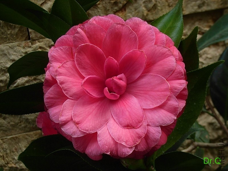3-�����e-2.JPG
