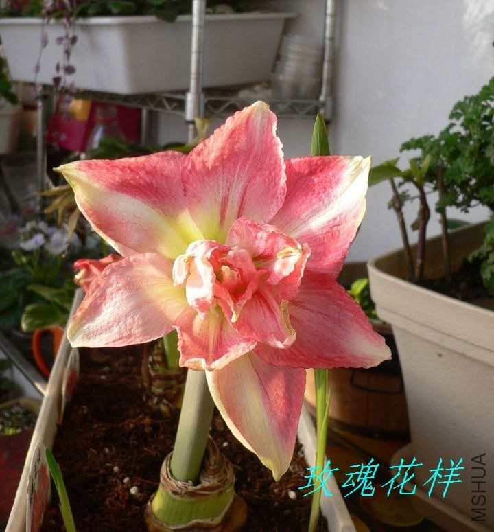 P1120128.JPG