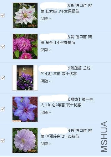 3_����.jpg