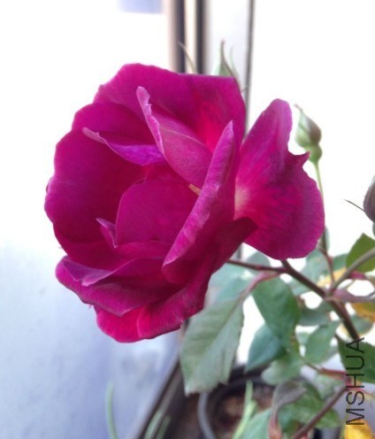 QQͼƬ20140111133428.jpg