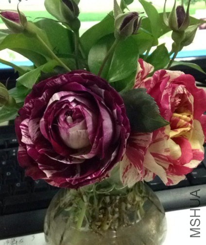 QQͼƬ20140111133457.jpg