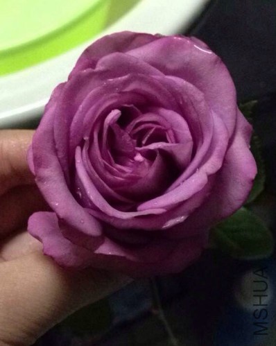 QQͼƬ20140111133553.jpg