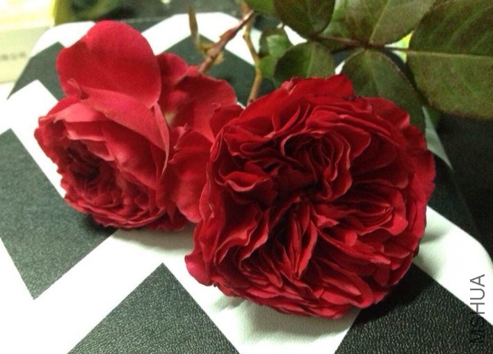 QQͼƬ20140111133613.jpg
