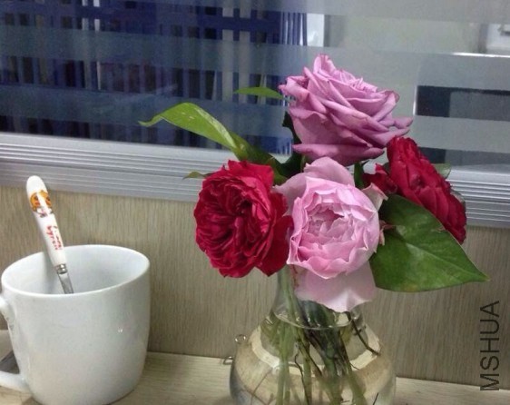 QQͼƬ20140111133652.jpg
