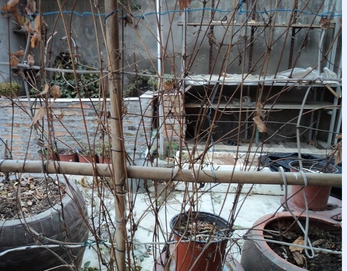 QQͼƬ20140111194323.jpg