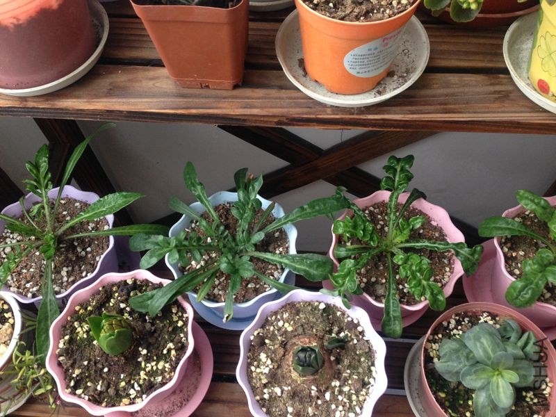 �Բ���ѫ�¾�С��