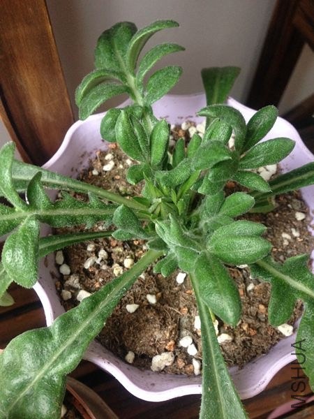 ��һ��ѫ�¾��Ѿ��л�����