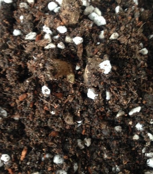 �����µĴ��������������ѿ�㱬��