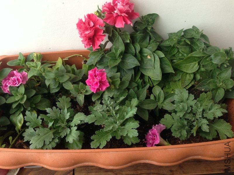 ��ʱ���ڳ���������ľ��磬׼��������ů�����