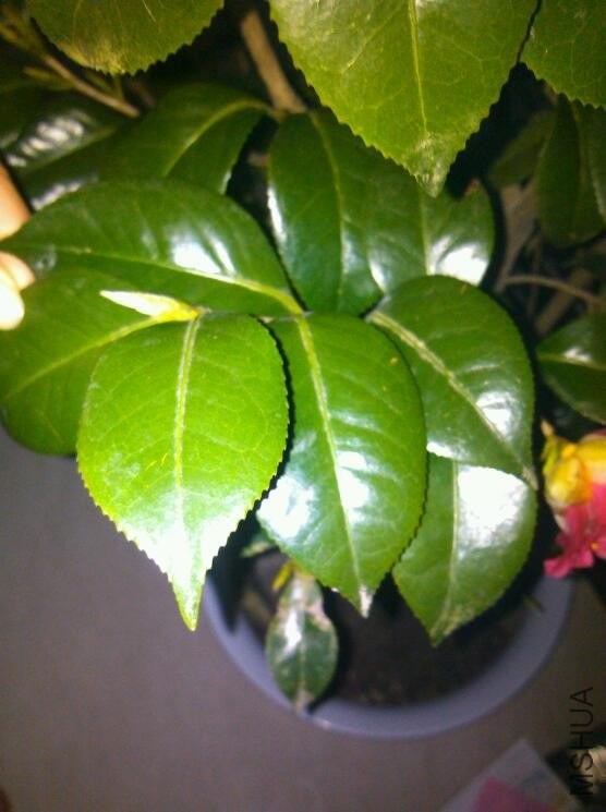 QQͼƬ20140111220646.jpg