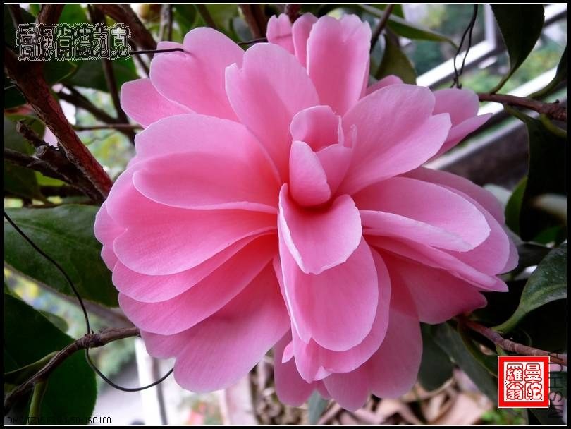 2014����06.jpg