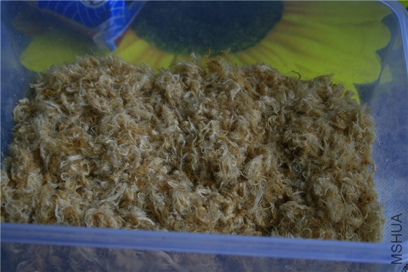 ������׿��ҳ����� (11).jpg