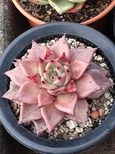 QQͼƬ20140113085630.jpg