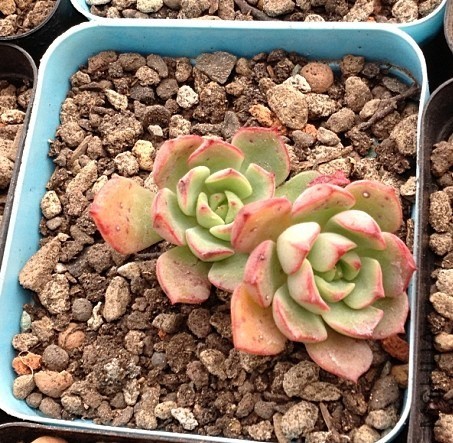 QQͼƬ20140113085743.jpg