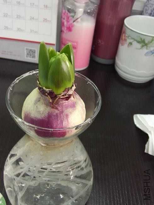 ������ (1).jpg