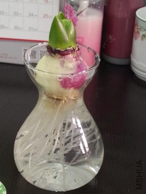 ������ (3).jpg