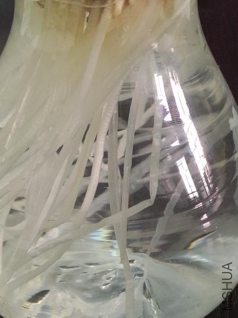 ������ (2).jpg