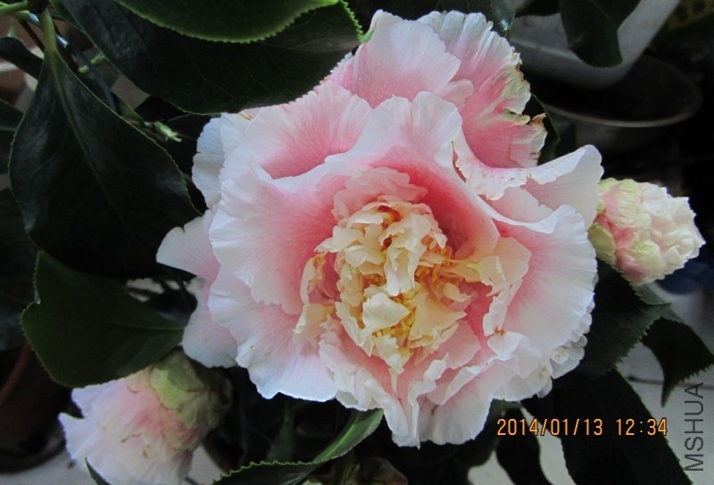 IMG_0076.JPG
