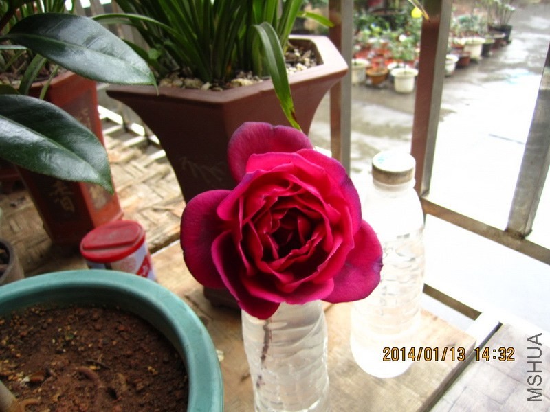 IMG_3630_������С.jpg