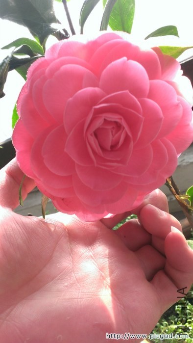 IMAG0485.jpg