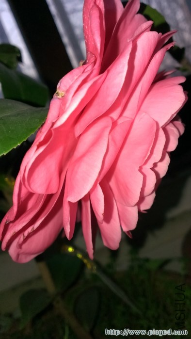 IMAG0487.jpg
