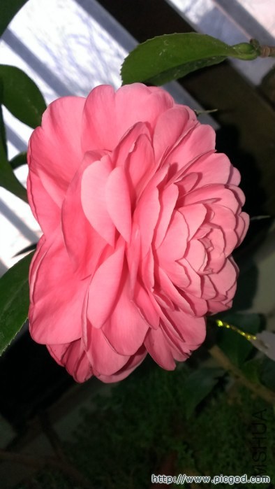 IMAG0489.jpg