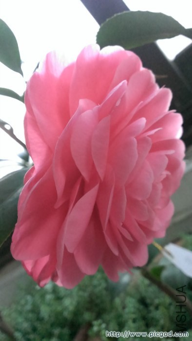 IMAG0490.jpg